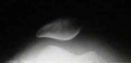 image at risk for slipping out <br>/ subluxating